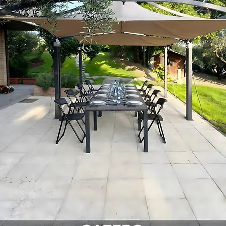 Gelsi A * بيزارو