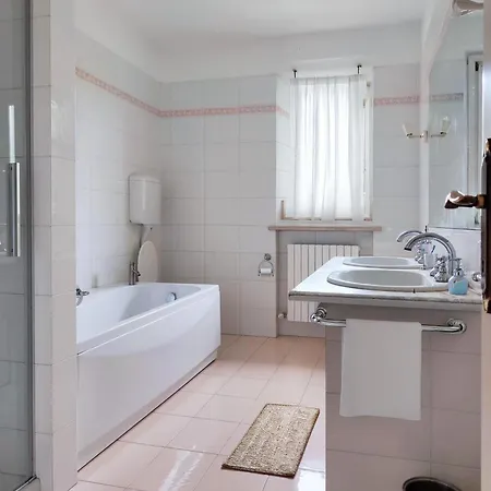 فيلة Gelsi A بيزارو