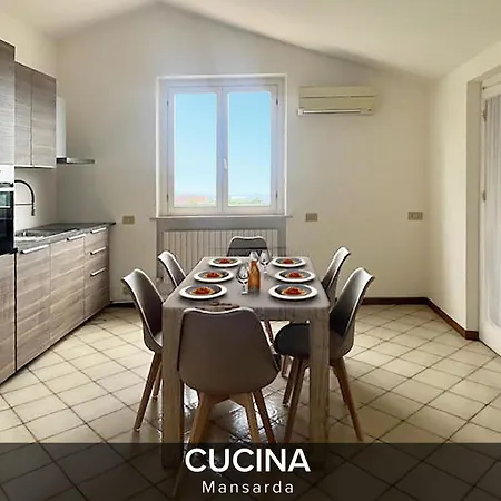 فيلة Gelsi A بيزارو