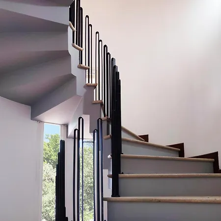 Gelsi A * بيزارو